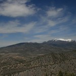 IMG_2533