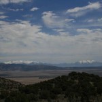 IMG_2537