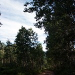 Cascade-Springs-Trail Cascade-Springs-Trail