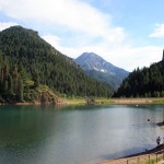 Tibble-Fork Tibble-Fork