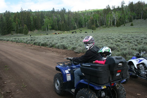 Thumbnail image for Five Astounding Traveling Vistas for All-Terrain Vehicles